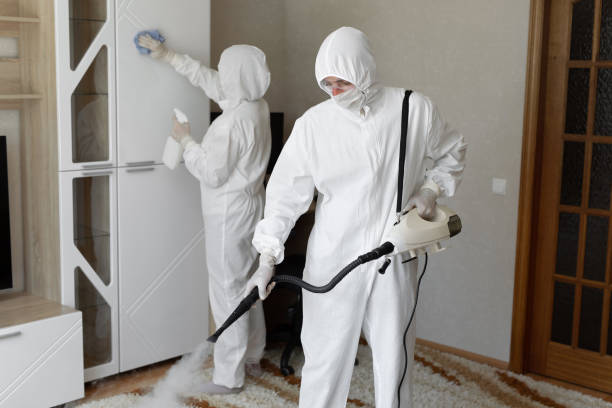 Best Professional Mold Removal  in Marmet, WV